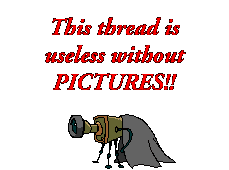 Wwpics    :wwpics: :wwpics:
