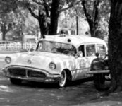 1955 dixie.jpg