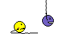 Whip    :whip: :whip: